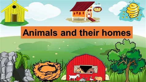 Animals And Their Homes For Kids Animals Shelter Youtube
