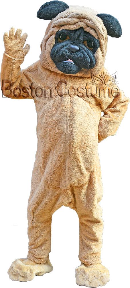 Pug Costume At Boston Costume