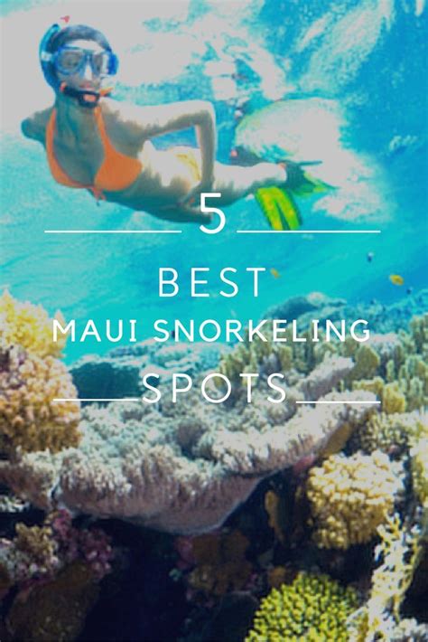 5 Of The Best Maui Snorkeling Spots Maui Snorkeling Maui Snorkel