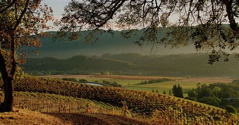 California Wine Country Sonoma County