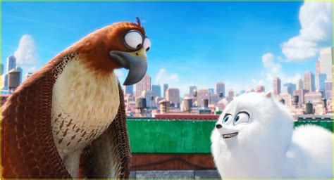 Continuation of the story about how our pets behave when we are not watching them. 'Secret Life of Pets' Cast - Meet the Voices of the ...