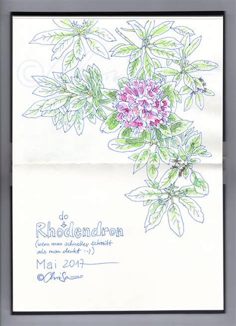 Maybe you would like to learn more about one of these? -Rhododendron-Garten-Skizze-Zeichnung-img20170606_17324788 ...