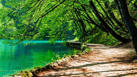 Water Nature Emerald Green Path National Park Tree Croatia Bank