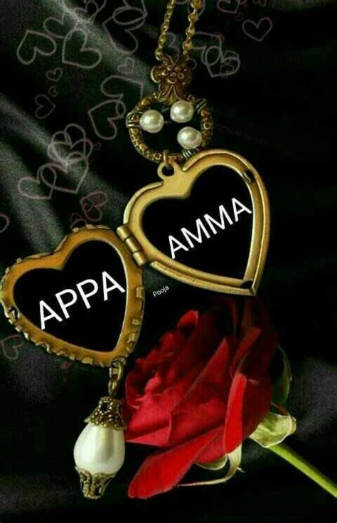 Check spelling or type a new query. Download appa amma அன்பு Whatsapp Status Tamil - ShareChat