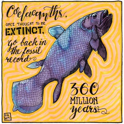 √ Extinct Fish Found Coelacanth 1938 Jrf