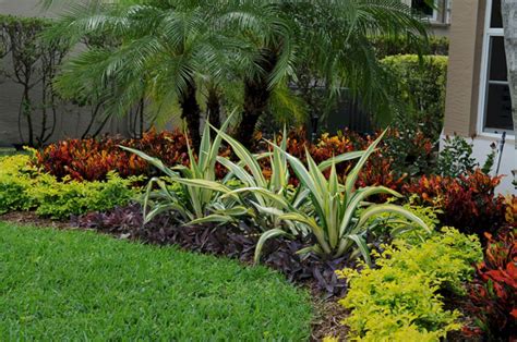 Tropical Garden Design Plants Tropical Landscaping