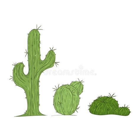 Cactus Image Eps10 Vector Illustration Stock Vector Illustration Of