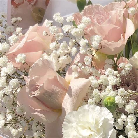 R O S I E Flower Aesthetic Pastel Pink Aesthetic Pretty Flowers