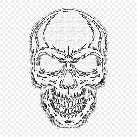 Black Skull Hd Transparent Black And White Skull Skull Vector Art