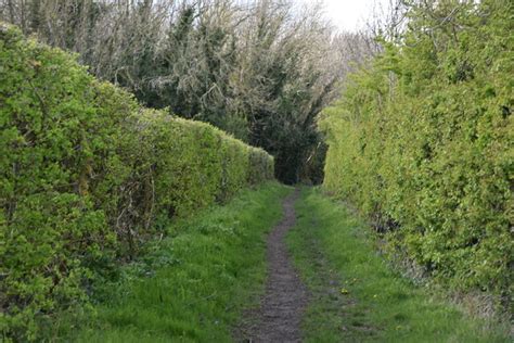 Bridleway © N Chadwick Geograph Britain And Ireland