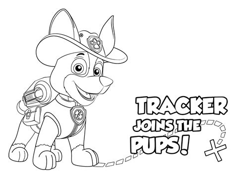 Skye paw patrol images colouring pages. Free Printable Paw Patrol Coloring Pages For Kids