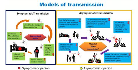 Step-wise process of transmission of vector borne diseases in two