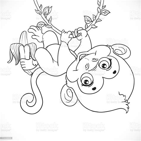 Cute Baby Monkey With Banana Hanging On The Vine Outlined Isolat Stock