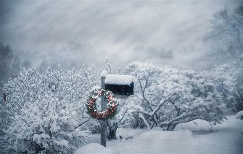 Wallpaper Winter Snow Christmas Blizzard Wreath The Bushes Inbox