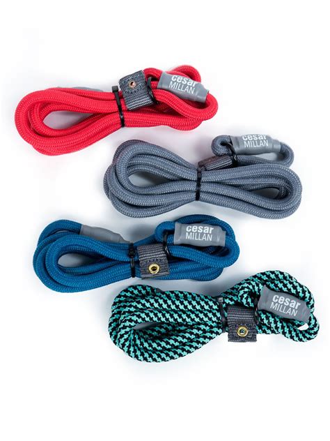 Available in a variety of colors: Nylon Training Lead | Cesar's Way Also, good video within ...