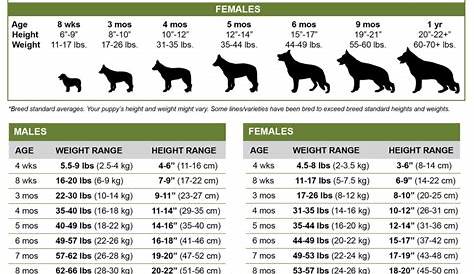 german shepherd weight chart by age