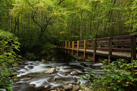 The 15 Best Trails For Gatlinburg Hiking In The Smokies 2023