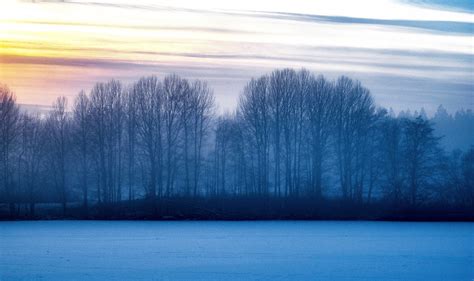 Wallpaper Lake Shore Ice Snow Trees Sunset Forest Sky Clouds