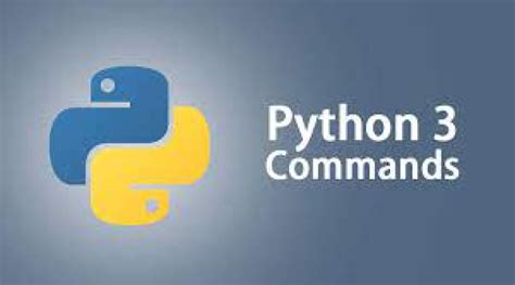 Mengenal Lebih Dekat Dengan Python Sejarah Kelebihan Kekurangan My