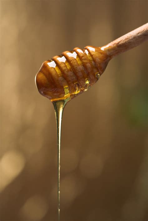 Physics Dripping Honey Explained