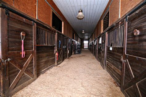 Historic Horse Farm With A Legacy Of Producing Champions