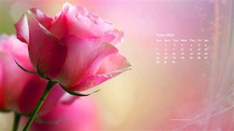 🔥 49 Desktop Wallpapers Calendar June 2015 Wallpapersafari