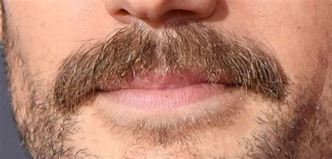 Can You Guess Which Celebrities These Mustaches Belong To