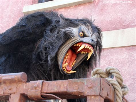 Werewolf Werewolf Wallpaper Free HD Backgrounds Images Pictures