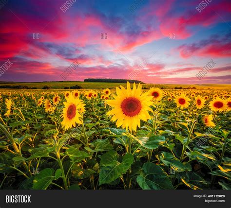Awesome Scene Exotic Image And Photo Free Trial Bigstock