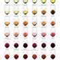 Wine Folly Color Chart