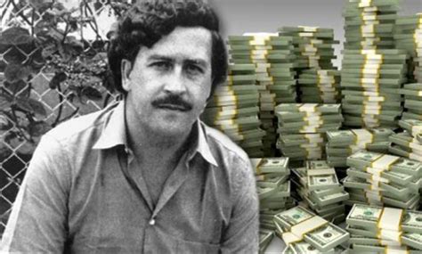 Raised in the nearby city of medellín, escobar is thought to have begun his criminal. Pablo Escobar nephew finds $18 Million dollars Pablo ...