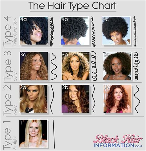 Hair Type Classification Grow Hair Hair Type Chart And Type Chart
