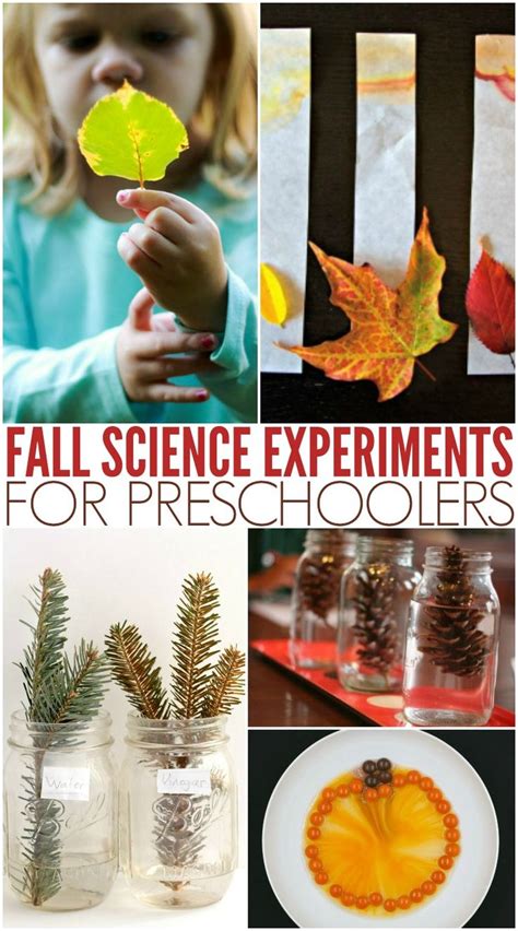 Must Try Fall Science Experiments Preschool Science Activities