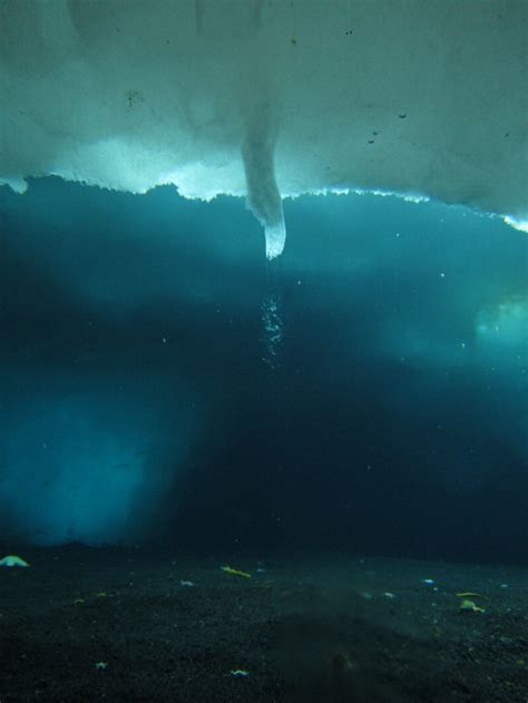 Brinicle Found Under The Ice Pack In The Antarctic Ocean Typically