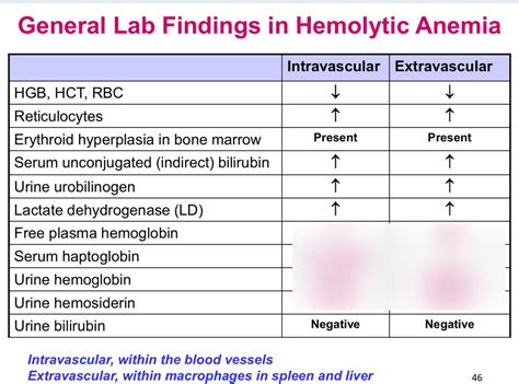 General Lab Findings In Hemolytic Anemia Diagram Quizlet
