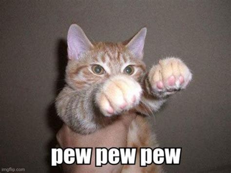 Image Tagged In Pew Pew Cat Imgflip