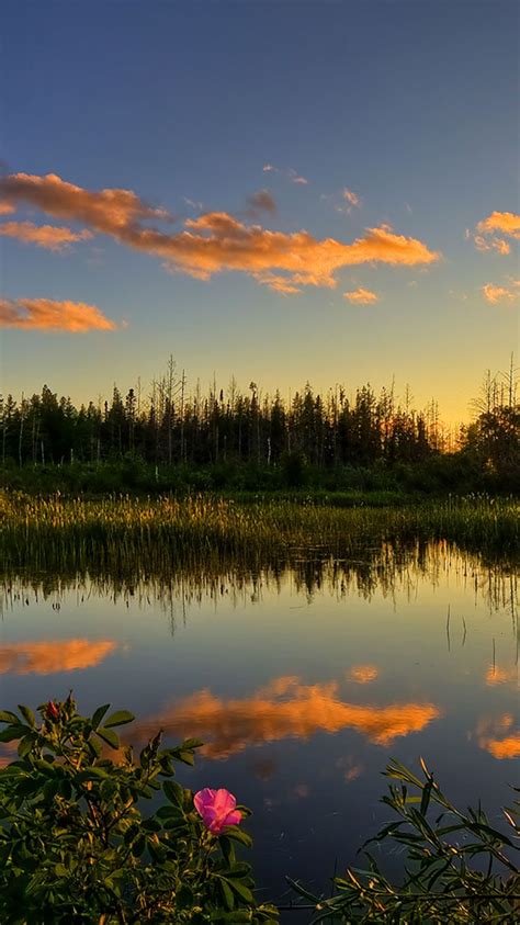 25 Nature Iphone Backgrounds Beautiful Nature Sunrise Photos Sunset