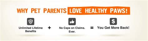 Your Pet Insurance Quote - Healthy Paws Pet Insurance. $40 a month for