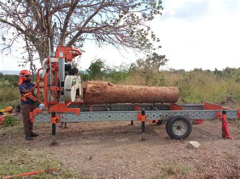 First sustainable timber harvest of the year in Tanzania – Rainforest