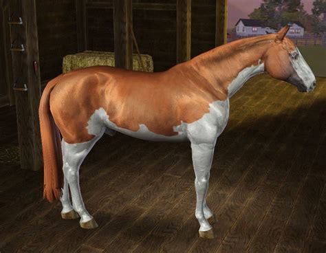 Sls Aph Template Sims 3 Mods Horses Horse Template