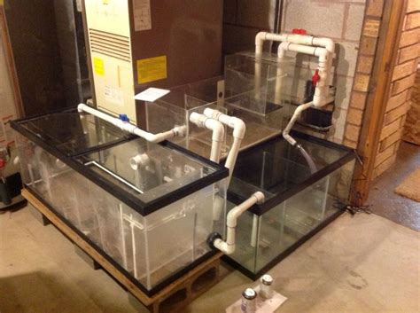 Two Sump Tanks And A Refugium Will Filter My 210 Gallon Tank Sump
