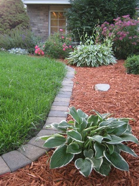 When we talk of edging ideas, there are millions of options: 40 Stylish And Inspiring Garden Edging Ideas - DigsDigs