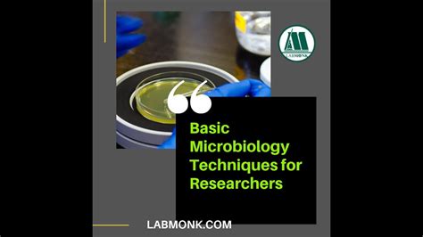 Basic Microbiology Techniques For Researchers I Learn With Labmonk