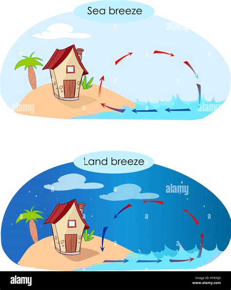 vector illustratiion of a sea breeze and land breeze Stock ...