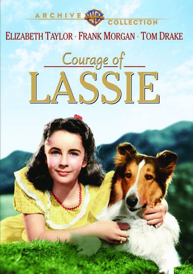 The Courage Of Lassie 888574105563 Dvds And Blu Rays