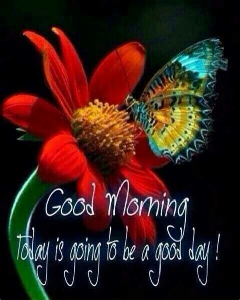 Butterfly Love Good Morning Greetings Good Morning Quotes Good Morning