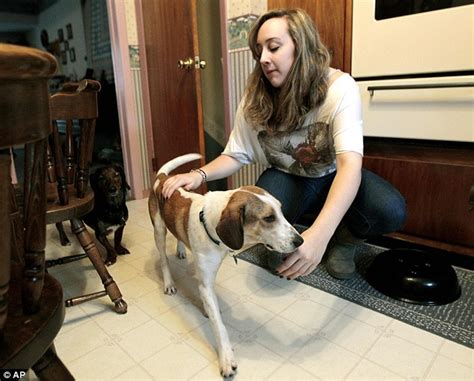 Miracle Beagle Mix Daniel Who Survived Dog Pound Gas Chamber Settles In