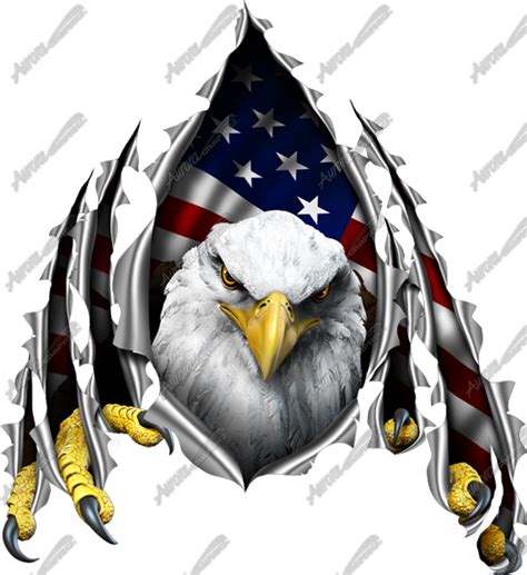 American Eagle Rip Aurora Graphics