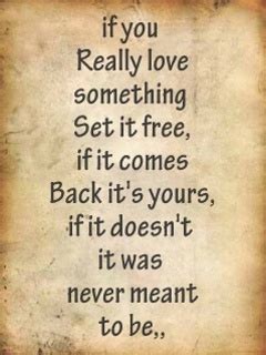 And accepting that love and everything that followed it is part of letting it go. If You Really Love Something Set It Free, If It Comes Back It's Yours, If It Doesn't It Was ...