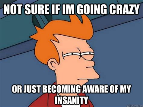 not sure if im going crazy or just becoming aware of my insanity futurama fry quickmeme